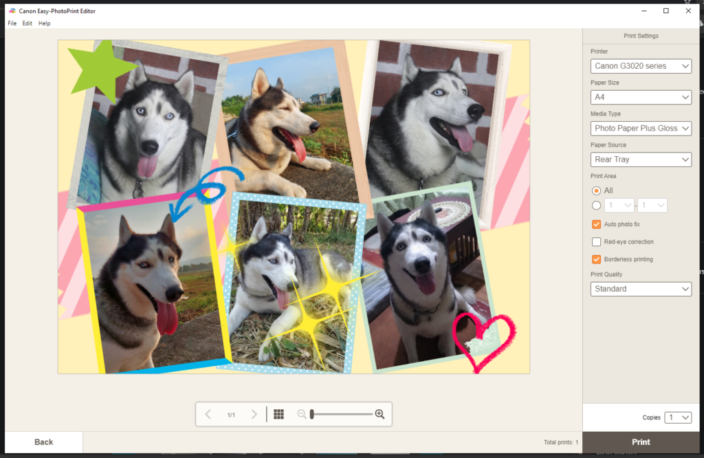 Canon PIXMA G3020 Review 96 canon easyphotoprint