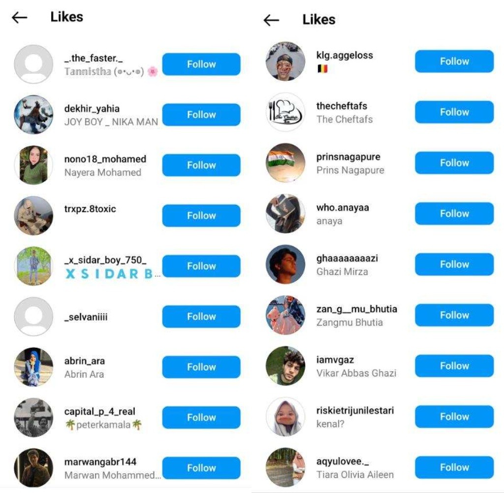 Why Authenticity Wins: The Perils of Buying Fake Followers and Engagements 89 mostly indian fake engagements