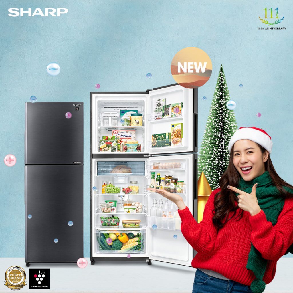 Choosing the Ideal Refrigerator: A Guide for the Holiday Season 88 Best Refrigerator for Holiday Season 1