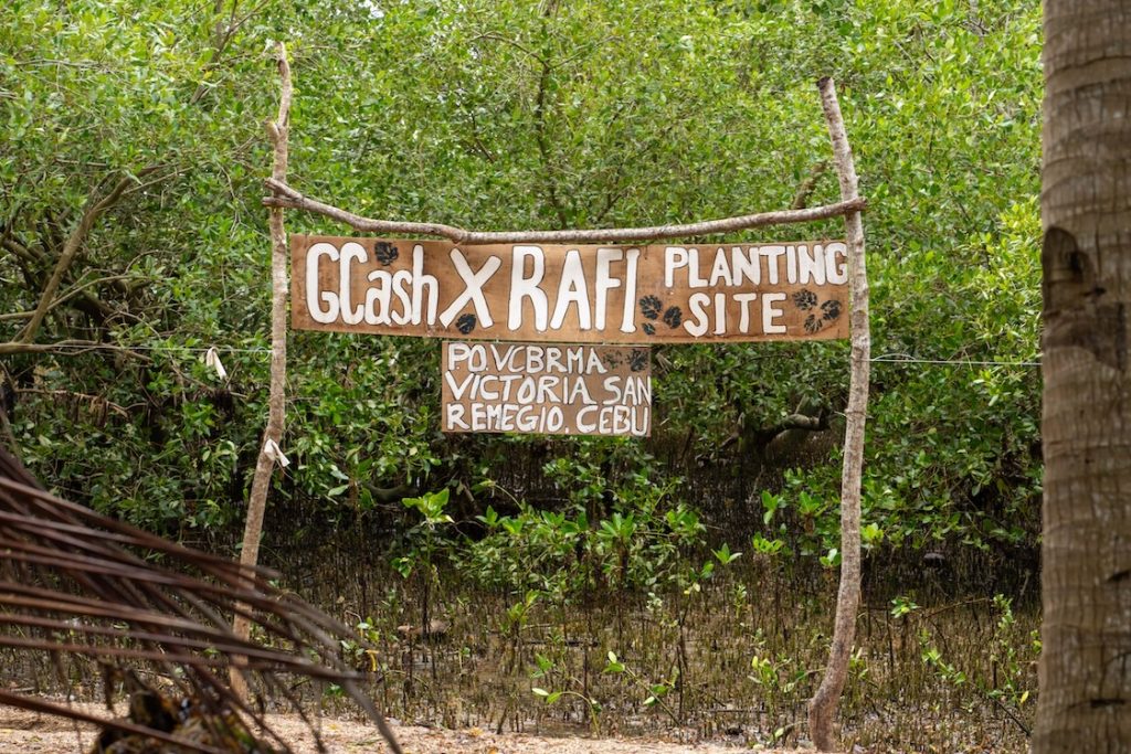 GCash, RAFI Empower Farmers and Fisherfolk in Cebu with Tree-Planting Initiatives 87 GCash GForest 102 min