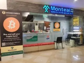 moneybees montreal
