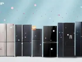 Best Refrigerator for Holiday Season FI