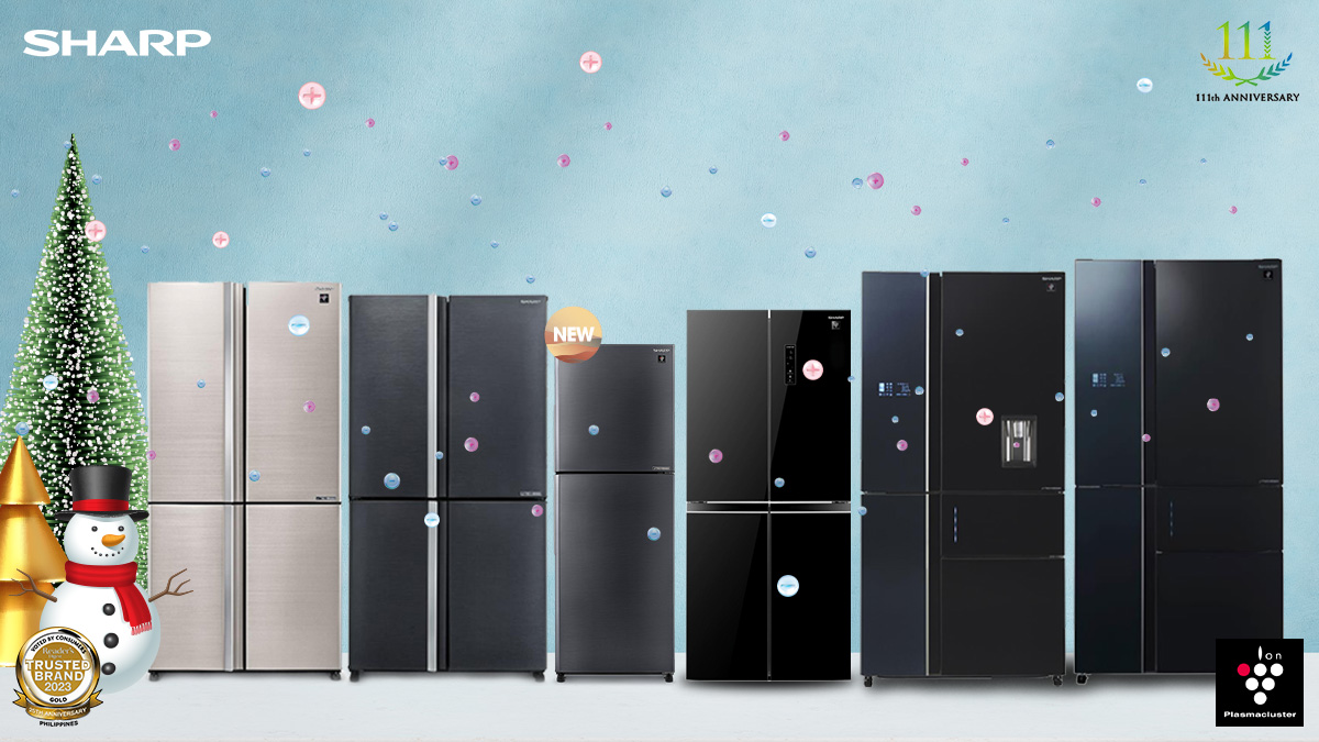Best Refrigerator for Holiday Season FI