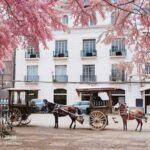 IMG 20250925 124158 min