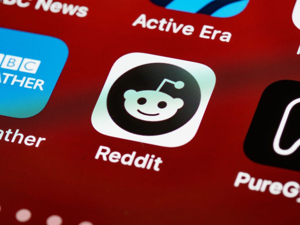 Reddit received 12 Philippine removal requests covering 74 posts and removed none 85 pexels brettjordan 5437588 1